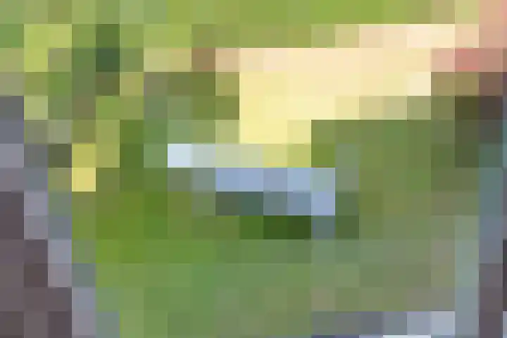 Julianalaan 24 a Tiel thumbnail 47