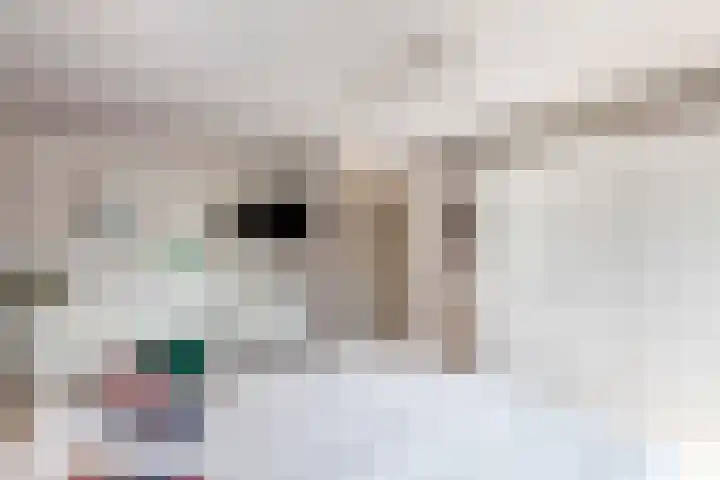 Julianalaan 24 a Tiel thumbnail 49