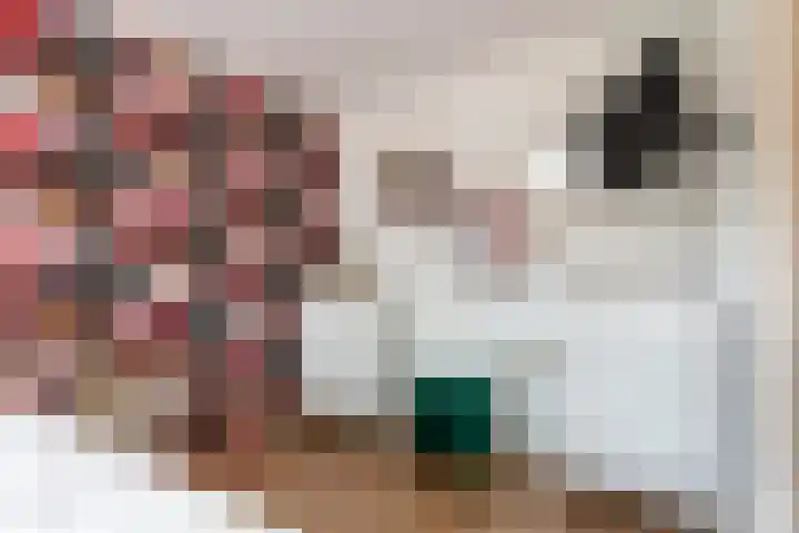 Julianalaan 24 a Tiel thumbnail 50