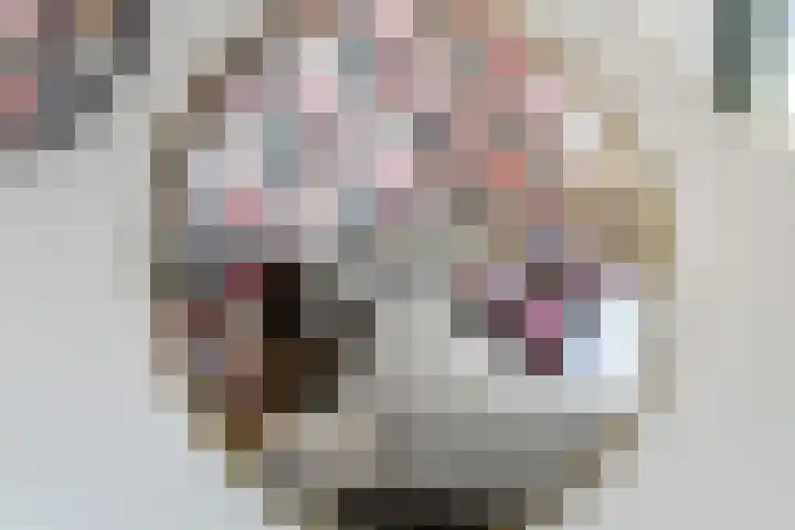 Julianalaan 24 a Tiel thumbnail 51