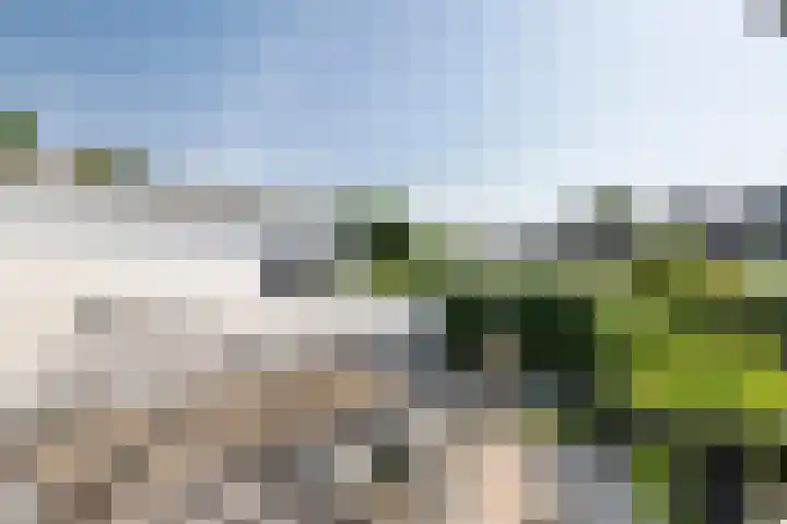 Julianalaan 24 a Tiel thumbnail 53
