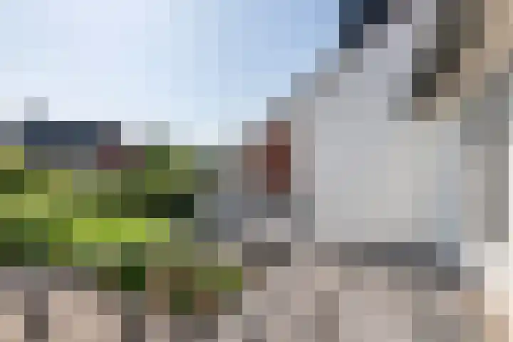 Julianalaan 24 a Tiel thumbnail 54
