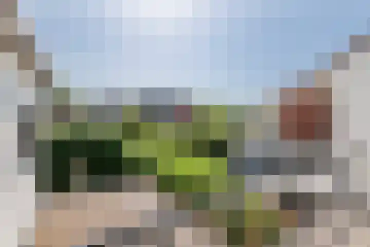 Julianalaan 24 a Tiel thumbnail 55