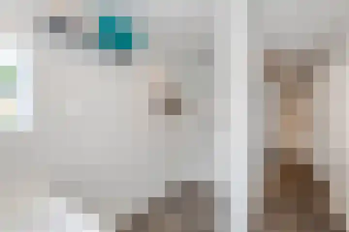 Julianalaan 24 a Tiel thumbnail 59