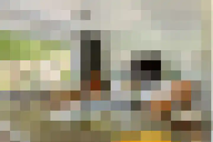 Julianalaan 24 a Tiel thumbnail 6