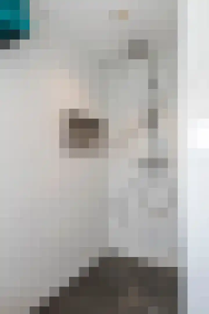 Julianalaan 24 a Tiel thumbnail 60