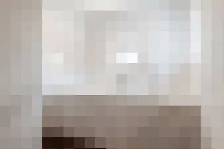 Julianalaan 24 a Tiel thumbnail 61