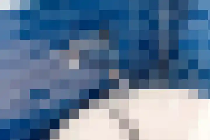 Julianalaan 24 a Tiel thumbnail 62