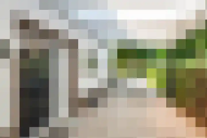 Julianalaan 24 a Tiel thumbnail 64