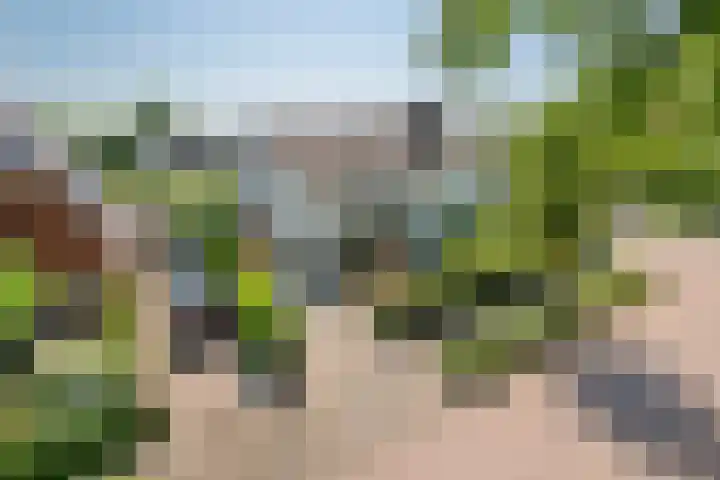 Julianalaan 24 a Tiel thumbnail 65