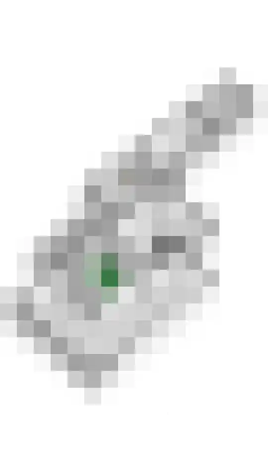 Julianalaan 24 a Tiel thumbnail 67