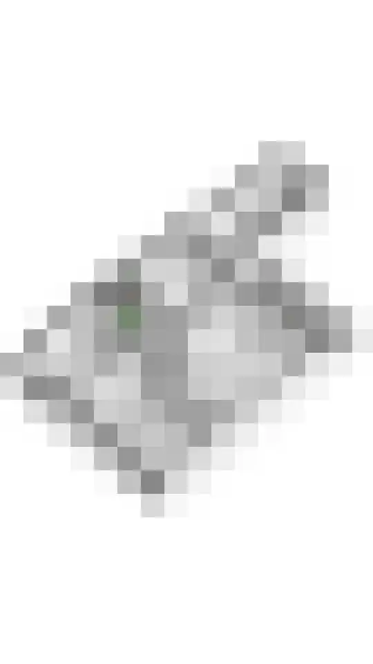 Julianalaan 24 a Tiel thumbnail 69