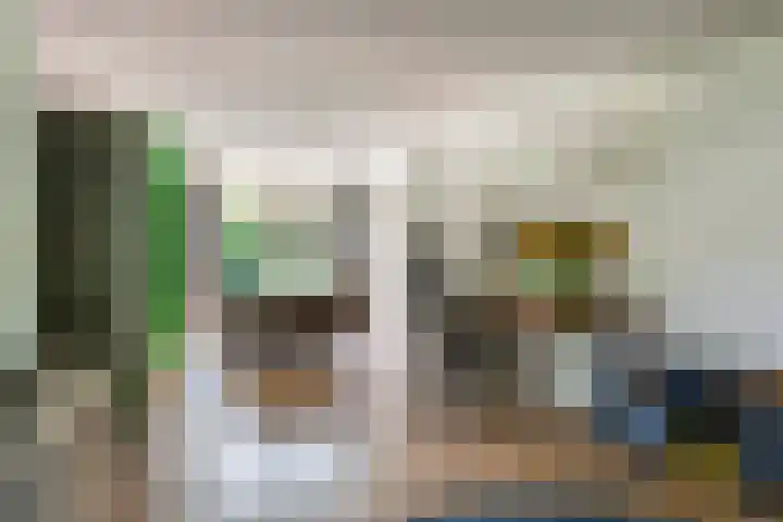 Julianalaan 24 a Tiel thumbnail 7