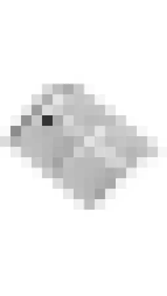 Julianalaan 24 a Tiel thumbnail 71