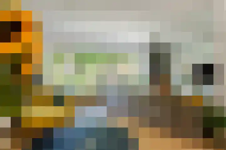 Julianalaan 24 a Tiel thumbnail 9