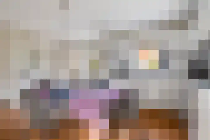 Julianalaan 24 Buitenpost thumbnail 13