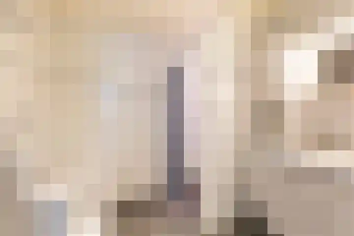 Julianalaan 24 Buitenpost thumbnail 17
