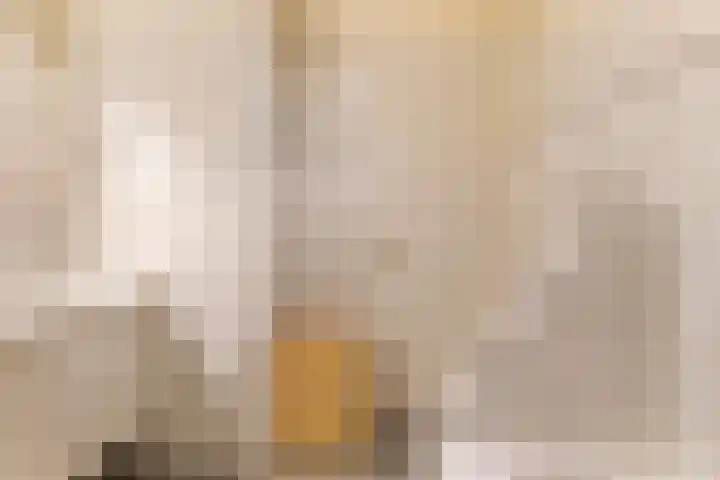 Julianalaan 24 Buitenpost thumbnail 19
