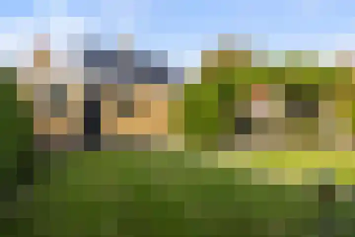 Julianalaan 24 Buitenpost foto 2