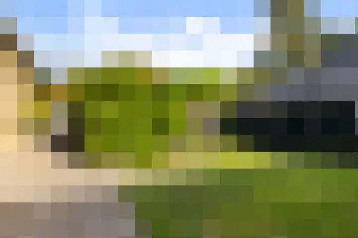 Julianalaan 24 Buitenpost thumbnail 23