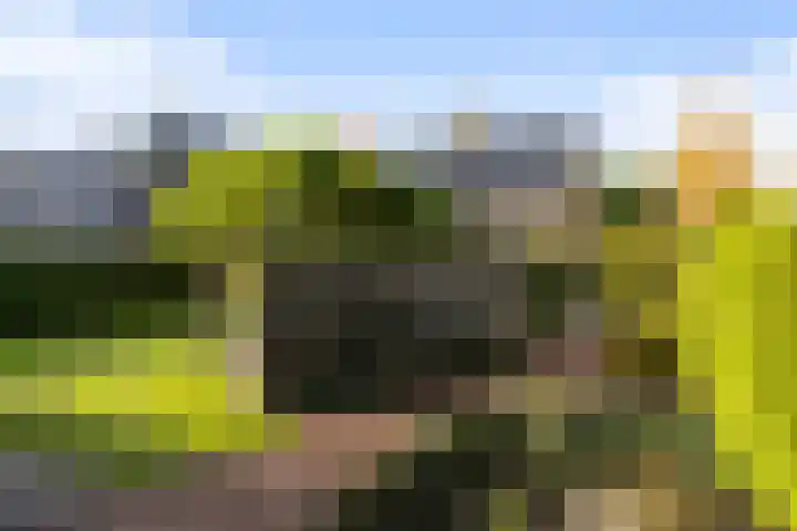 Julianalaan 24 Buitenpost thumbnail 24