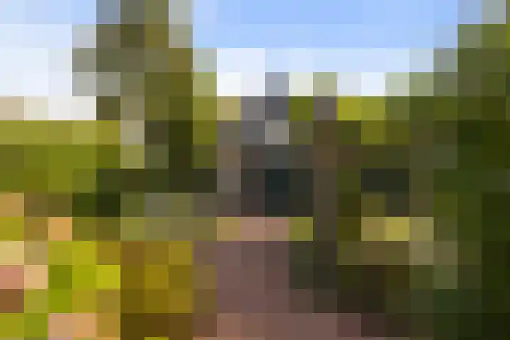 Julianalaan 24 Buitenpost thumbnail 25