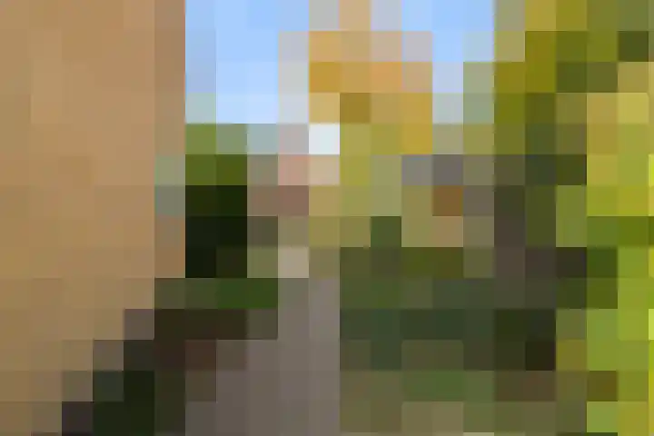 Julianalaan 24 Buitenpost thumbnail 26