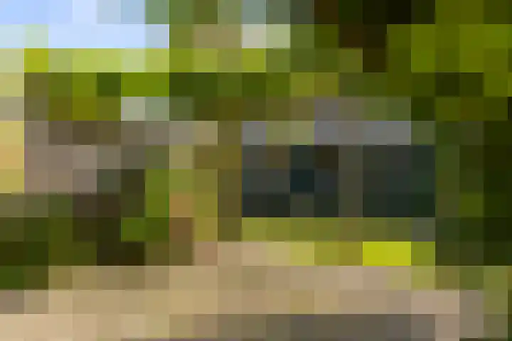 Julianalaan 24 Buitenpost thumbnail 27