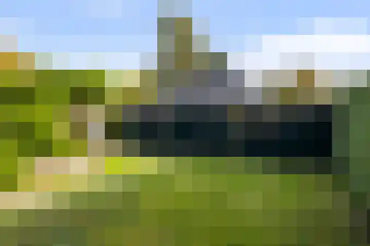 Julianalaan 24 Buitenpost foto 3
