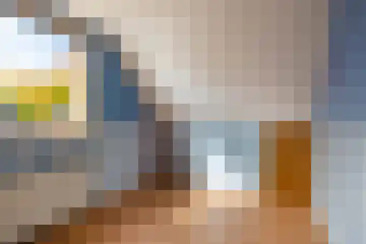 Julianalaan 24 Buitenpost thumbnail 32