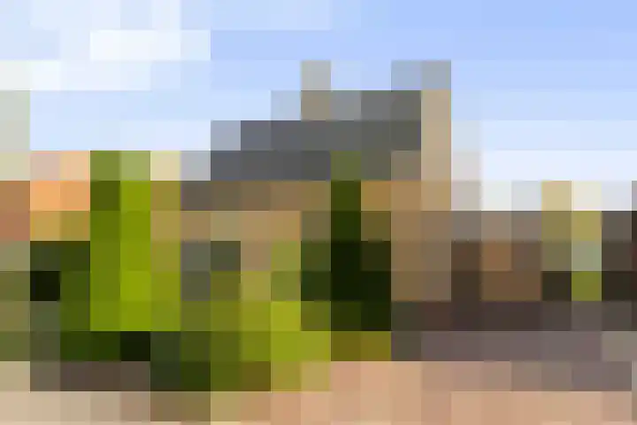 Julianalaan 24 Buitenpost thumbnail 36