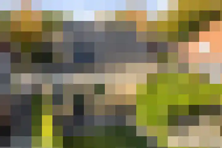 Julianalaan 24 Buitenpost thumbnail 38