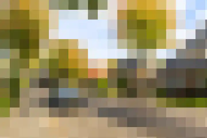 Julianalaan 24 Buitenpost thumbnail 39