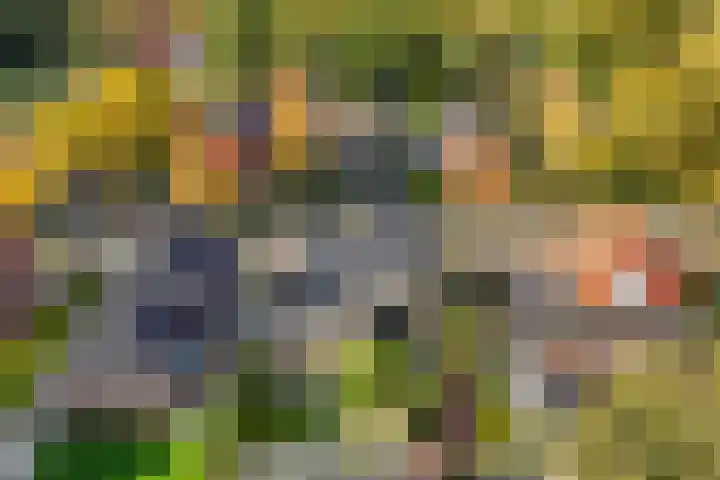 Julianalaan 24 Buitenpost thumbnail 40