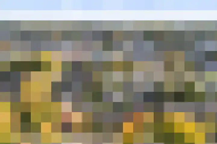 Julianalaan 24 Buitenpost thumbnail 41