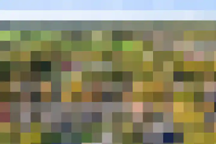 Julianalaan 24 Buitenpost thumbnail 42