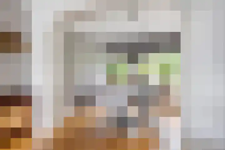 Julianalaan 24 c Tiel thumbnail 11