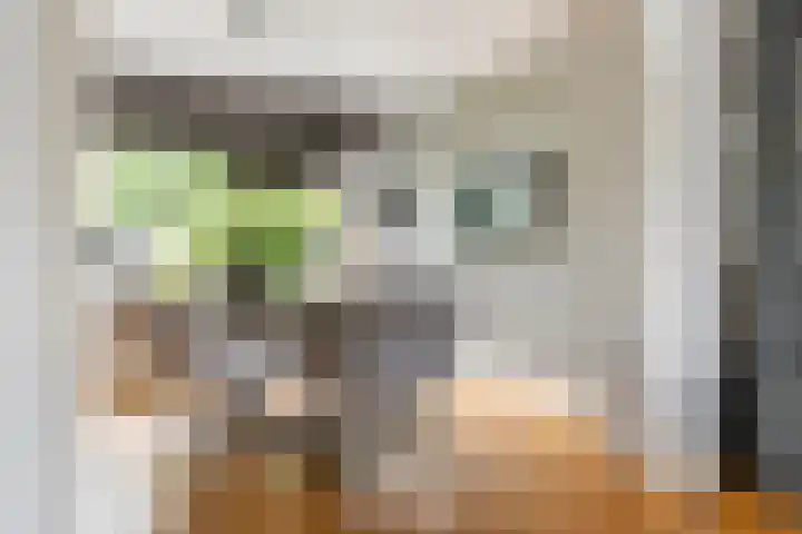 Julianalaan 24 c Tiel thumbnail 12
