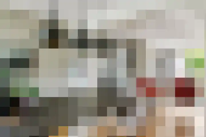 Julianalaan 24 c Tiel thumbnail 13