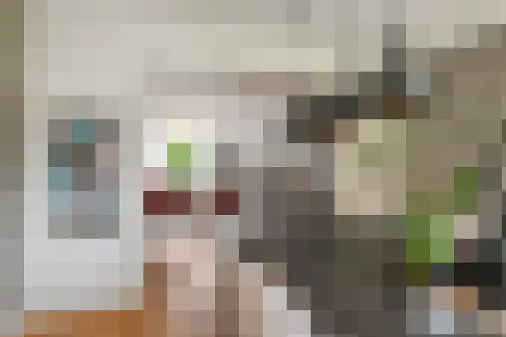 Julianalaan 24 c Tiel thumbnail 14