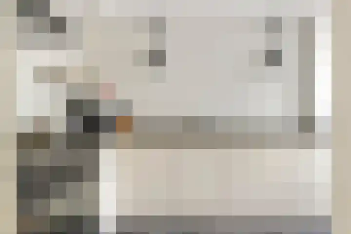 Julianalaan 24 c Tiel thumbnail 15