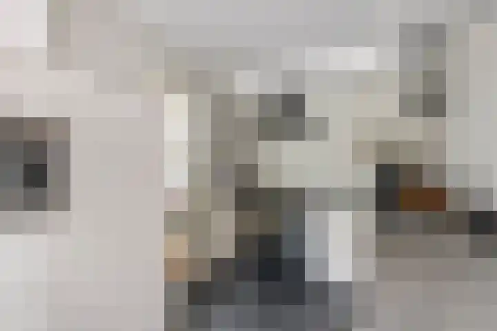 Julianalaan 24 c Tiel thumbnail 16