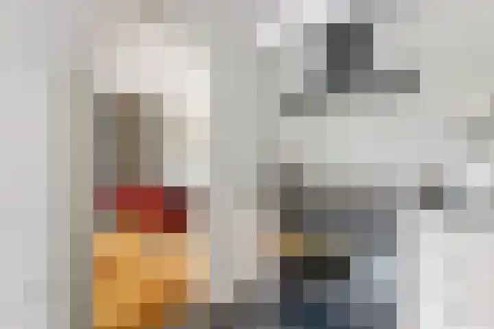 Julianalaan 24 c Tiel thumbnail 17