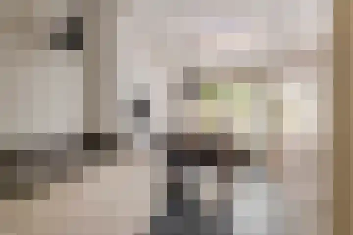 Julianalaan 24 c Tiel thumbnail 18