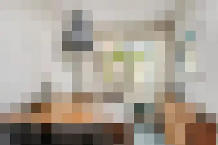 Julianalaan 24 c Tiel thumbnail 19