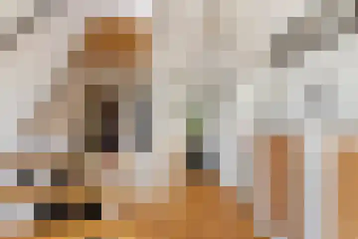 Julianalaan 24 c Tiel thumbnail 20