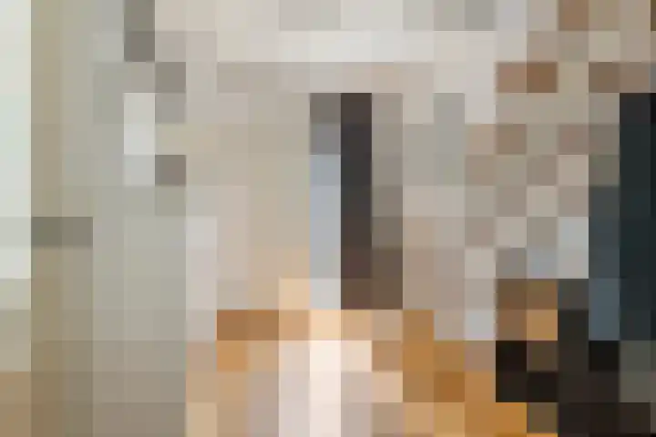 Julianalaan 24 c Tiel thumbnail 21