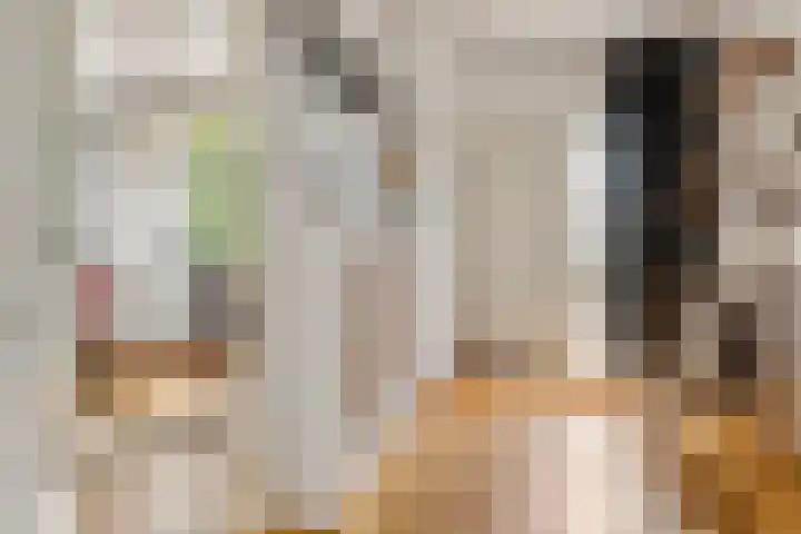 Julianalaan 24 c Tiel thumbnail 22