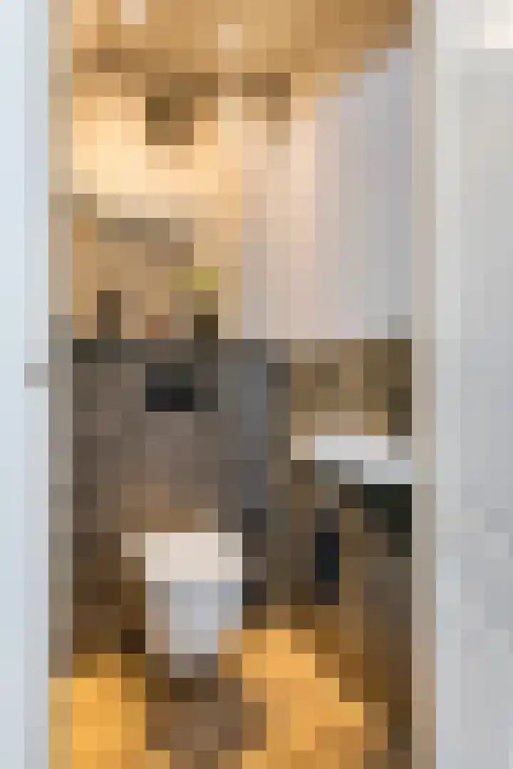 Julianalaan 24 c Tiel thumbnail 23