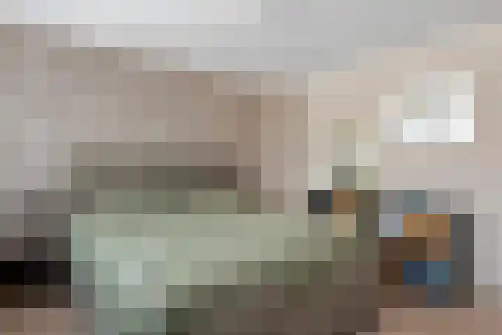 Julianalaan 24 c Tiel thumbnail 25